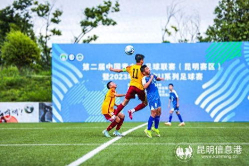 十届263金 中国体育代表团闪耀夏季奥运会赛场