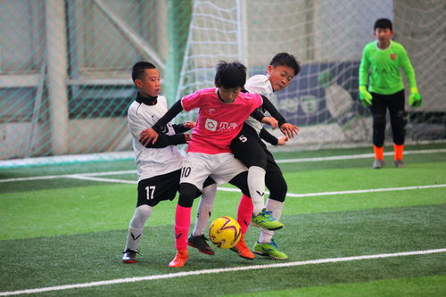 加维训练