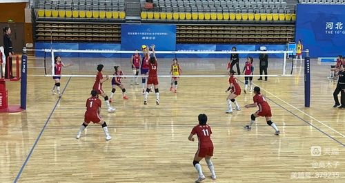 申花VS河南：4231出击，吴曦+谢鹏飞坐镇中场，3大外援领衔中轴线