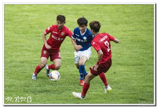 新月亚冠7-0光州FC😱记者：如果中超队去踢 会不会也挡不住😢