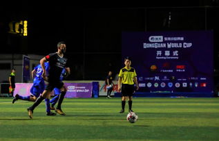 非洲杯：挺进四强 埃及队3-2科特迪瓦队