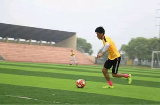 巴黎奥运会：陈梦 孙颖莎成功会师乒乓球女单决赛